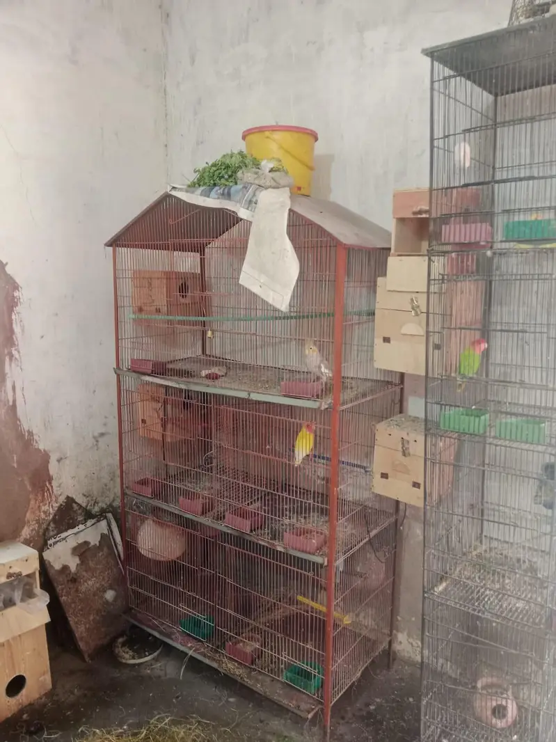 Cage sale — photo 3