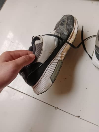Sports Shoes