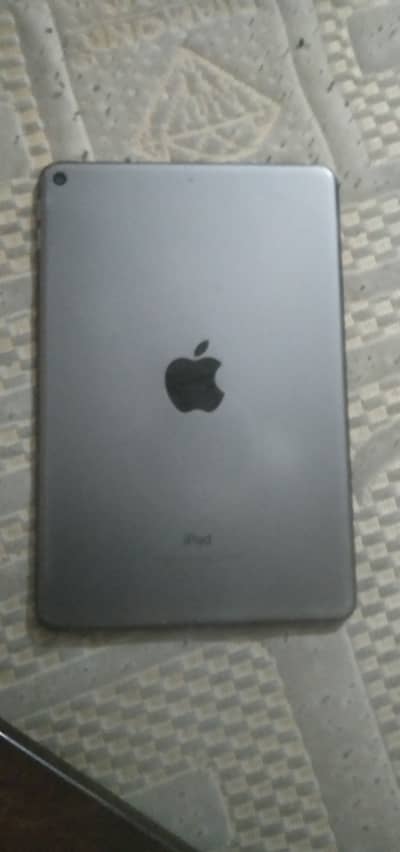 ipad mini 5