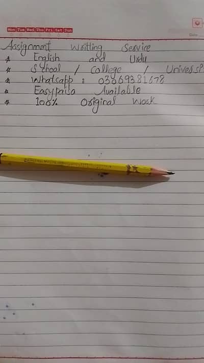 English & Urdu Assignment Writing Service