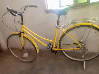 Japanese cycle