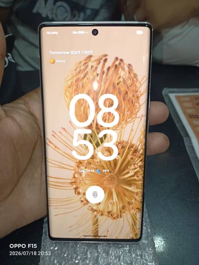 Google Pixel 6 Pro