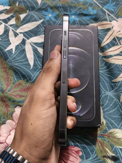 Apple iPhone 12 Pro Max