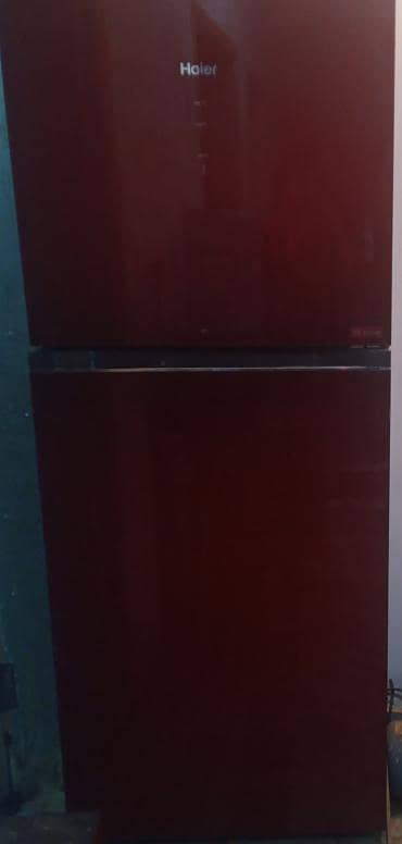 Haier refrigerator and freezer