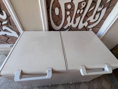 2 door hair deep freezer,  ok