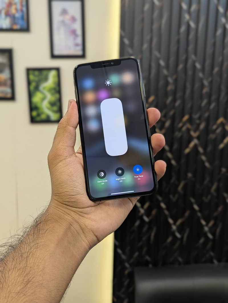 Apple iPhone XS Max 1
