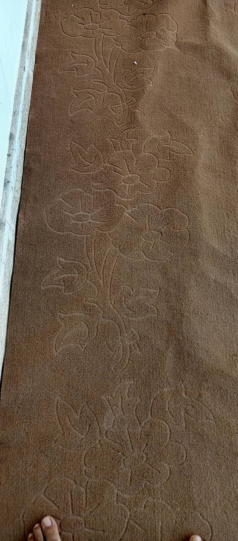 Carpet 2