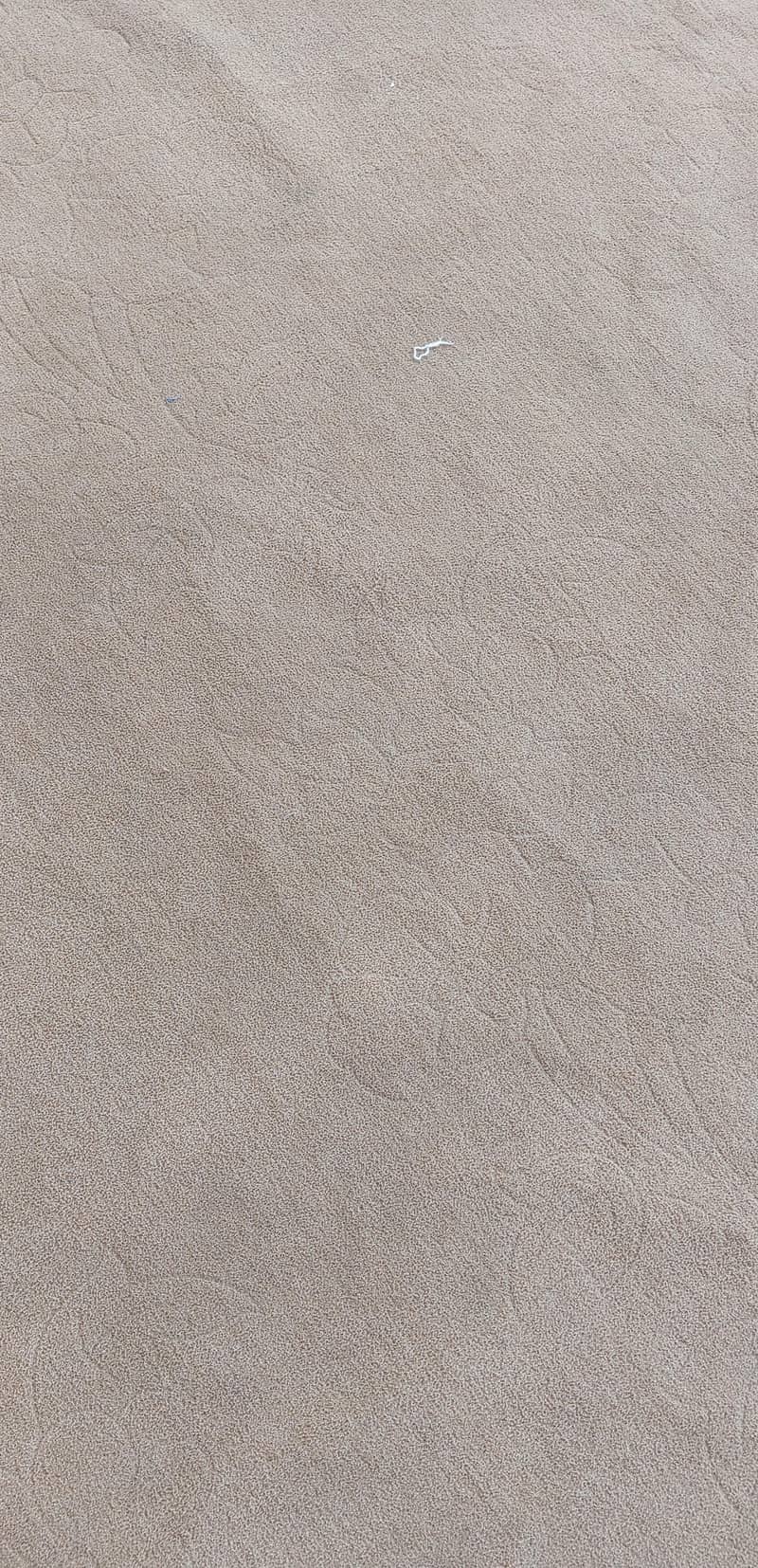 Carpet 4