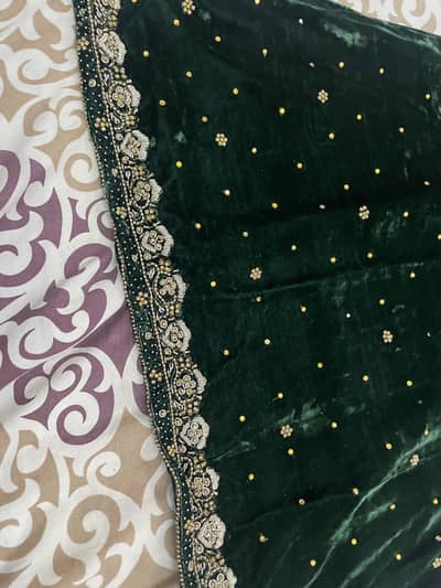 Elegant Ladies Velvet Party Wear Dress