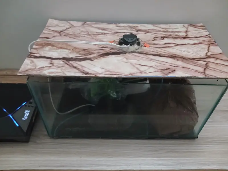 Fish Aquarium — photo 4