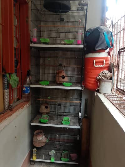 master Cage