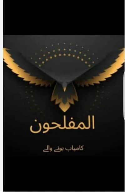 Asslam o alaikum online work krna ha to contact kry