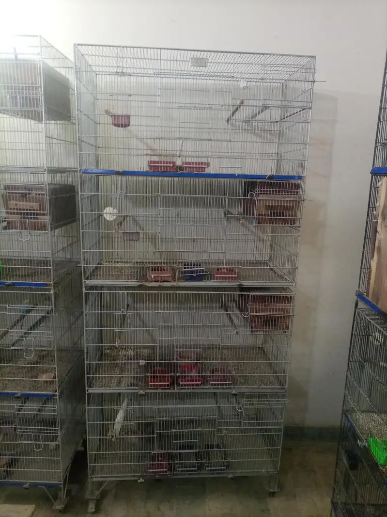 cage for sell