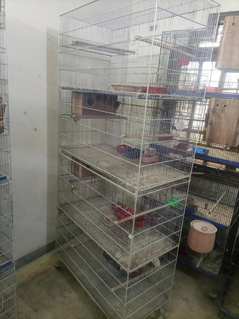 cage for sell — photo 2