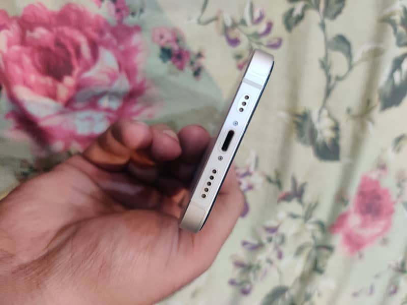 Apple iPhone 13 0