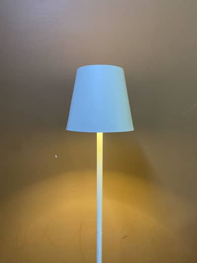 Imported Lamps