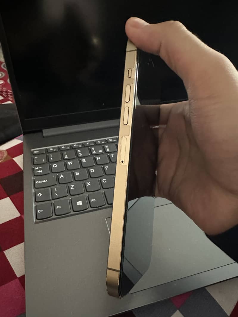 iPhone 13 Pro Max 1
