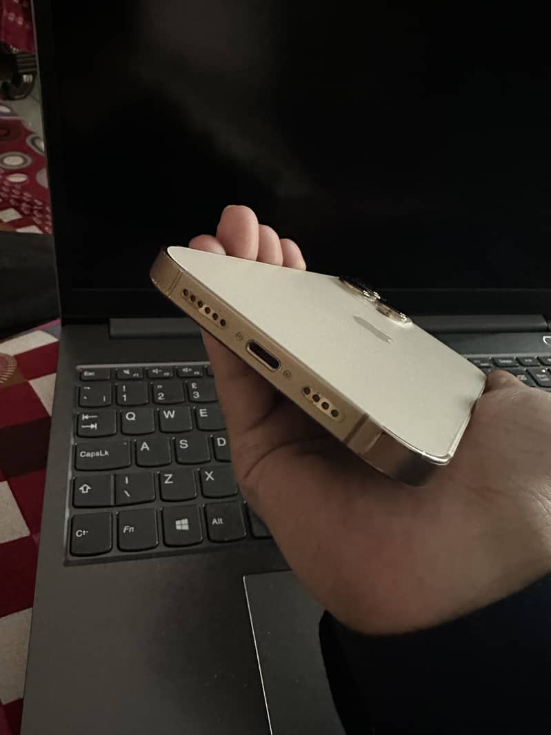 iPhone 13 Pro Max 4