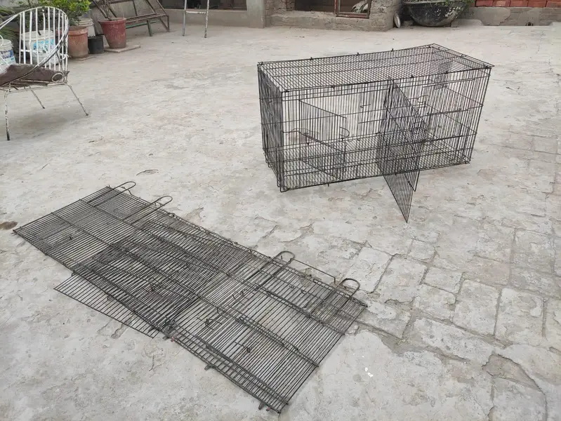 Cages — photo 2
