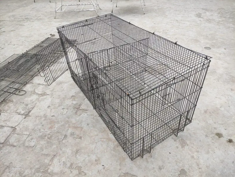 Cages — photo 4