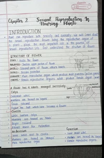  Handwritten Assignment Writing Service 