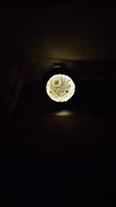 moon light