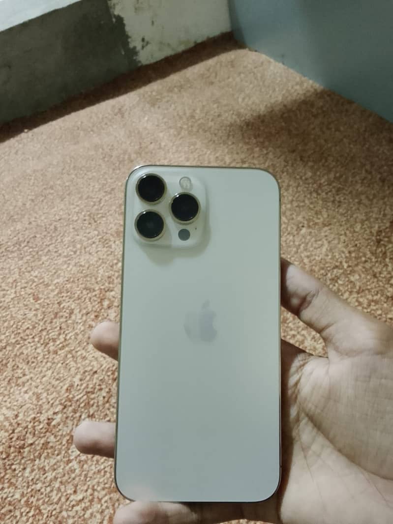 Apple iPhone 13 Pro Max 0