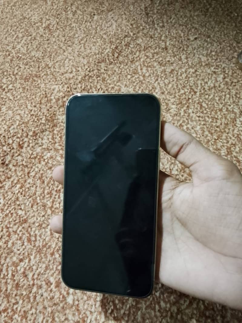 Apple iPhone 13 Pro Max 1