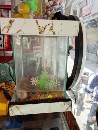 Aquarium 1 Month Used – Excellent Condition (Without Filter)