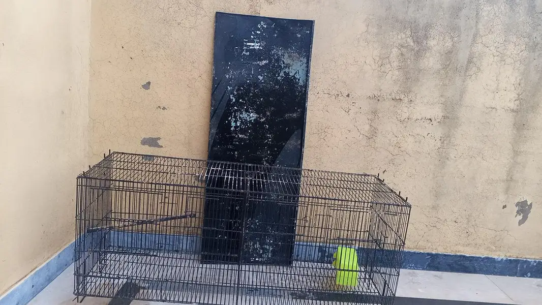 good cage with partition in best price — photo 4