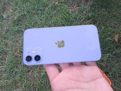 Apple iPhone 12 mini