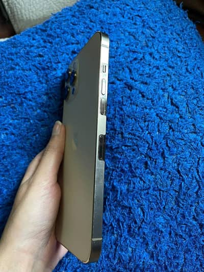 Apple iPhone 12 Pro Max