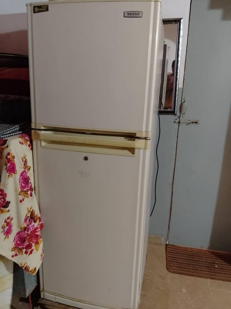 ORient Medium size 5