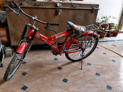 full size bycycle