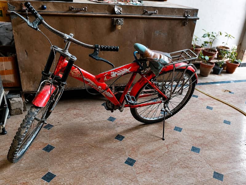 full size bycycle 0