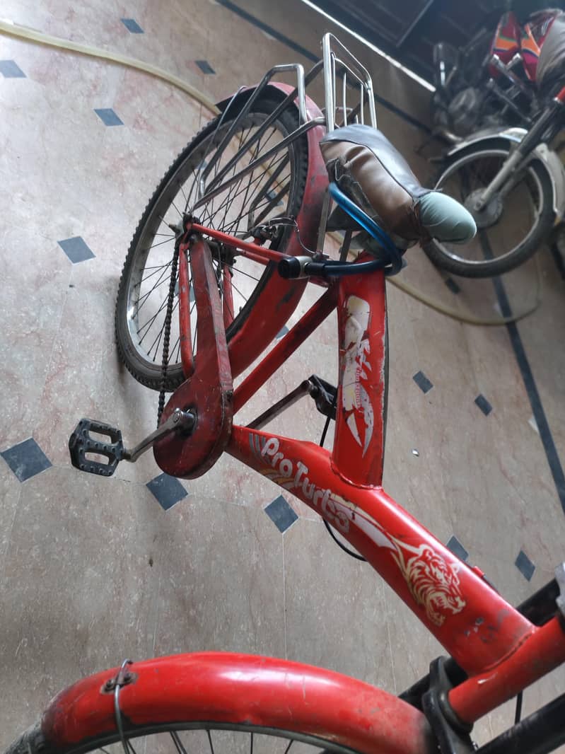 full size bycycle 1
