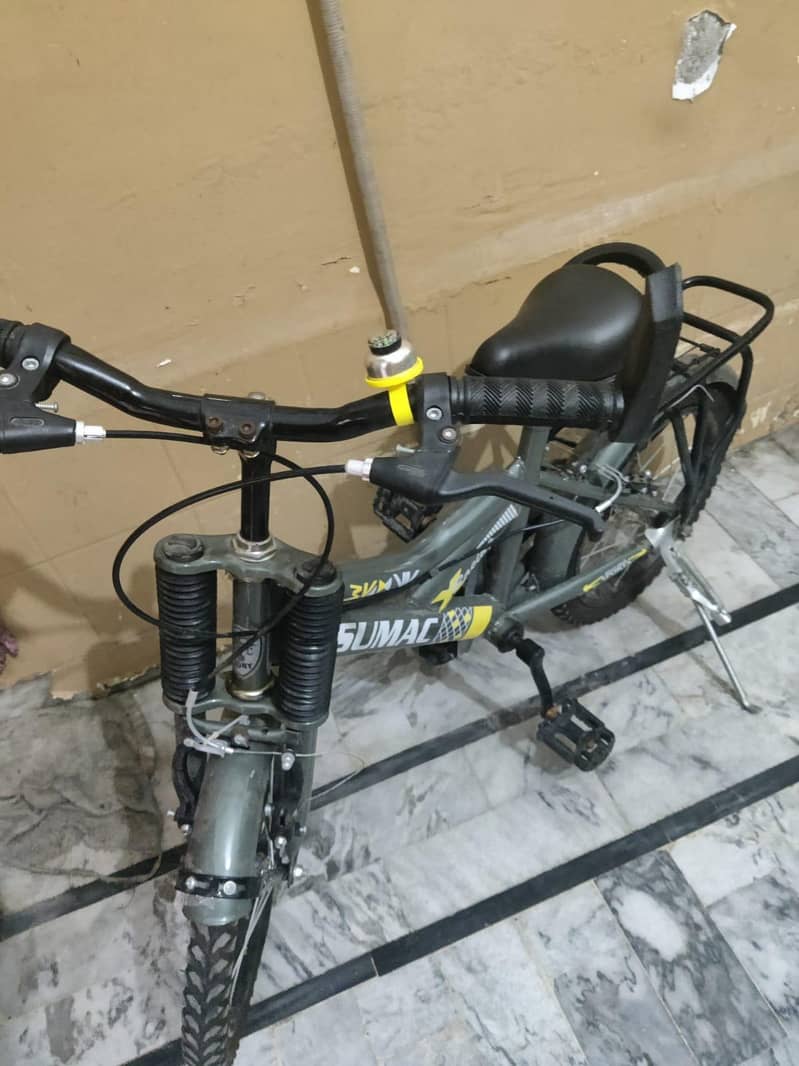 Cycle 1