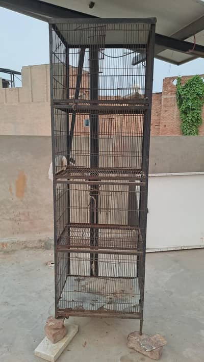 cage for birds pegion