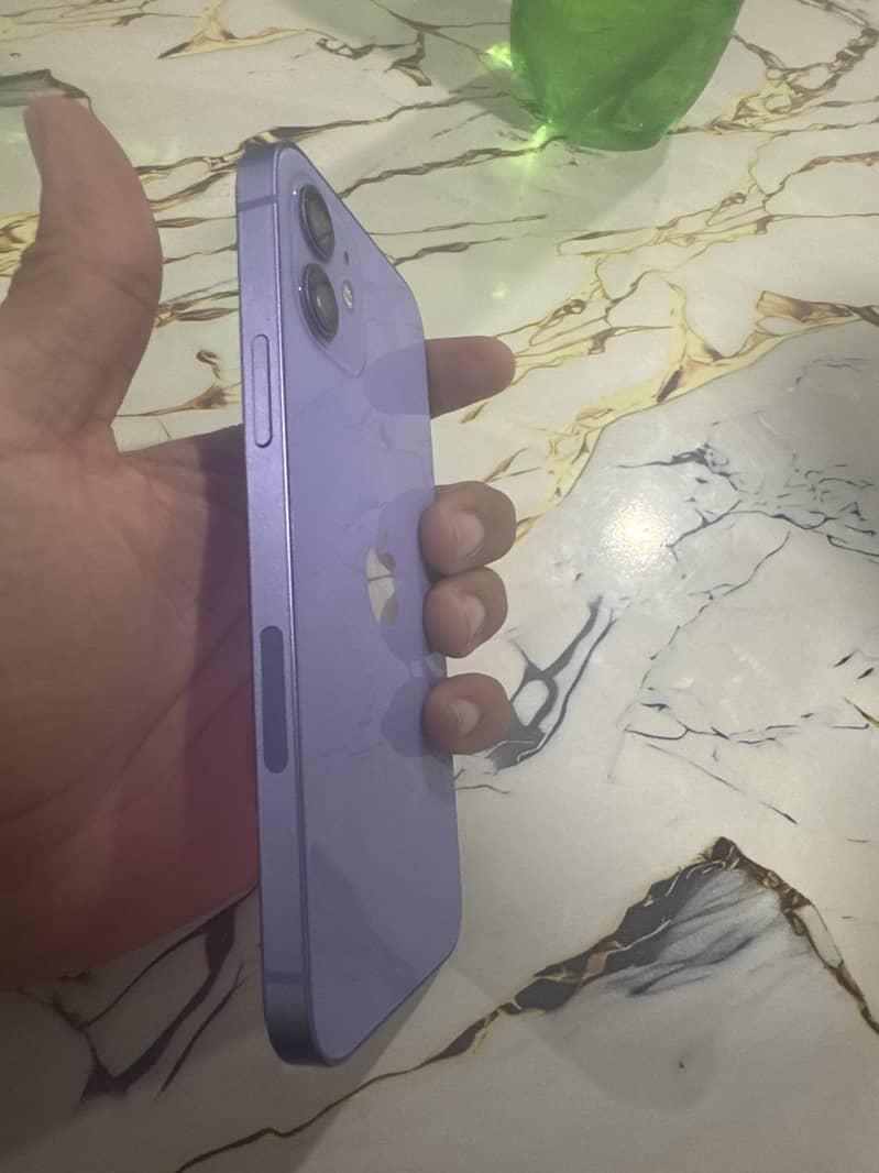 Apple iPhone 12 1