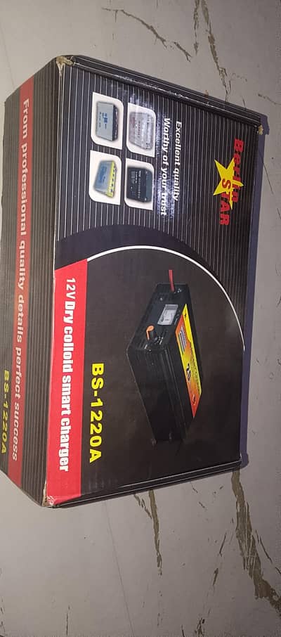 battery charger new box 20A