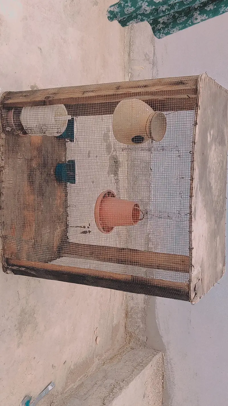 for sale bird cage with breeding matki  good condition — photo 2