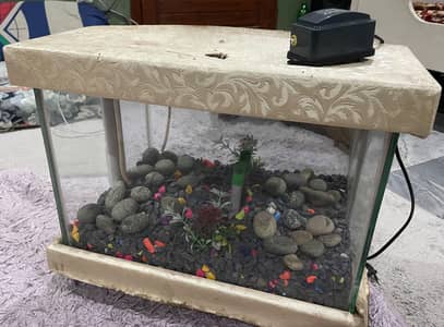 Aquarium