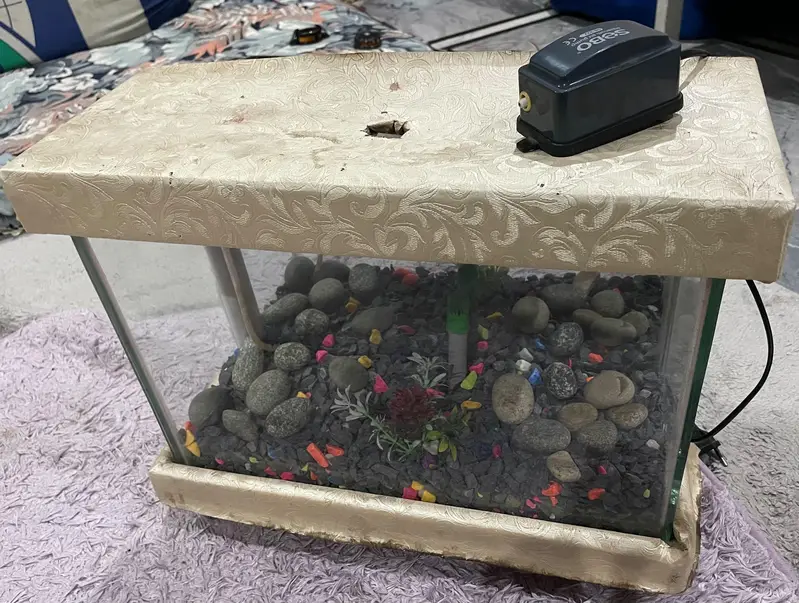 Aquarium — photo 2