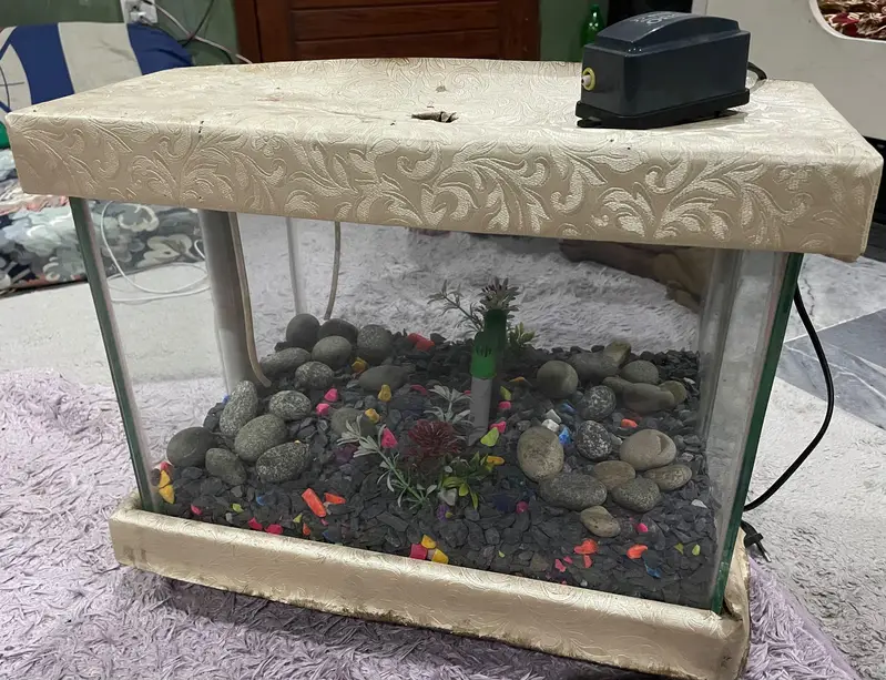 Aquarium — photo 3