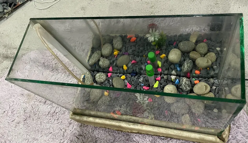 Aquarium — photo 4