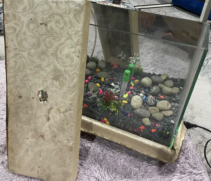 Aquarium — photo 5