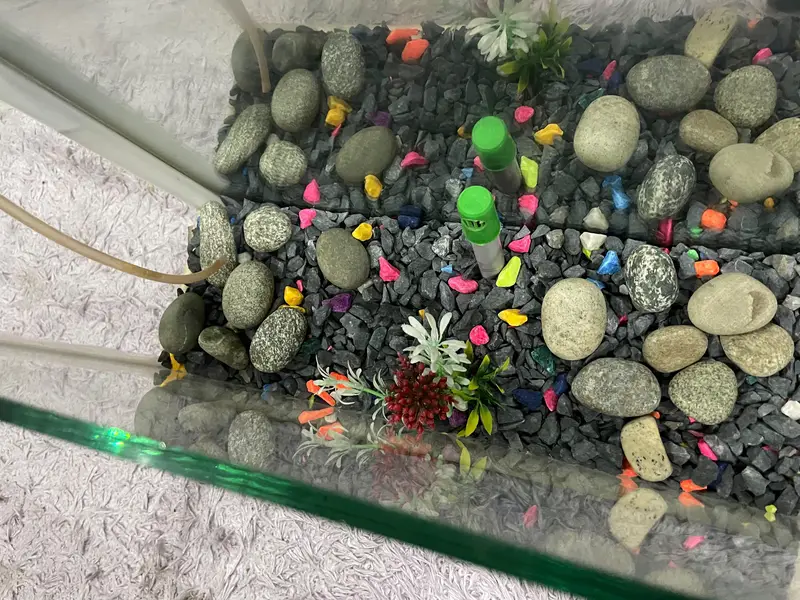 Aquarium — photo 6