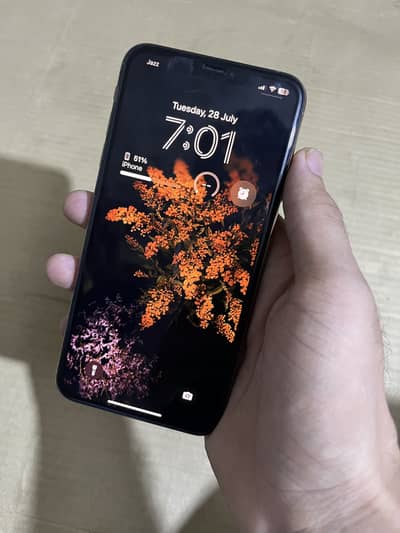 Apple iPhone XS Max 512GB PTA