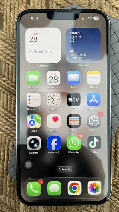 Apple iPhone 13 Pro Max