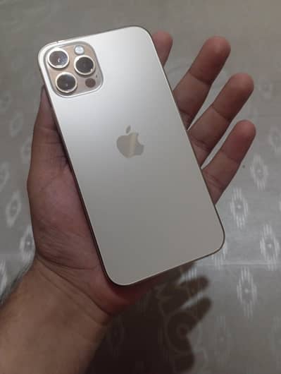 iphone 12 pro gold both sim pta approved